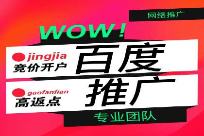 某品牌SEM广告投放的全程记录与效果分析